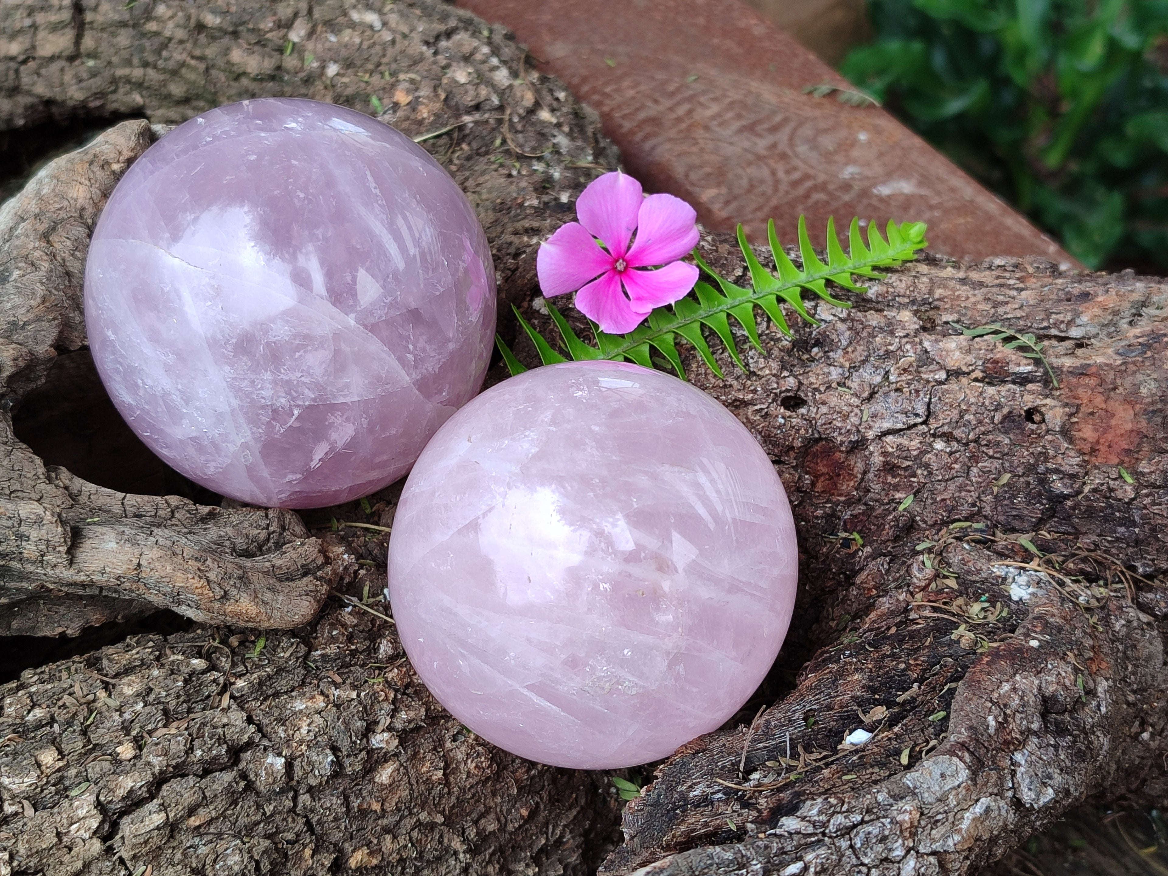 Polished Rose Quartz Spheres x 2 From Ambatondrazaka, Madagascar - Toprock Gemstones and Minerals 