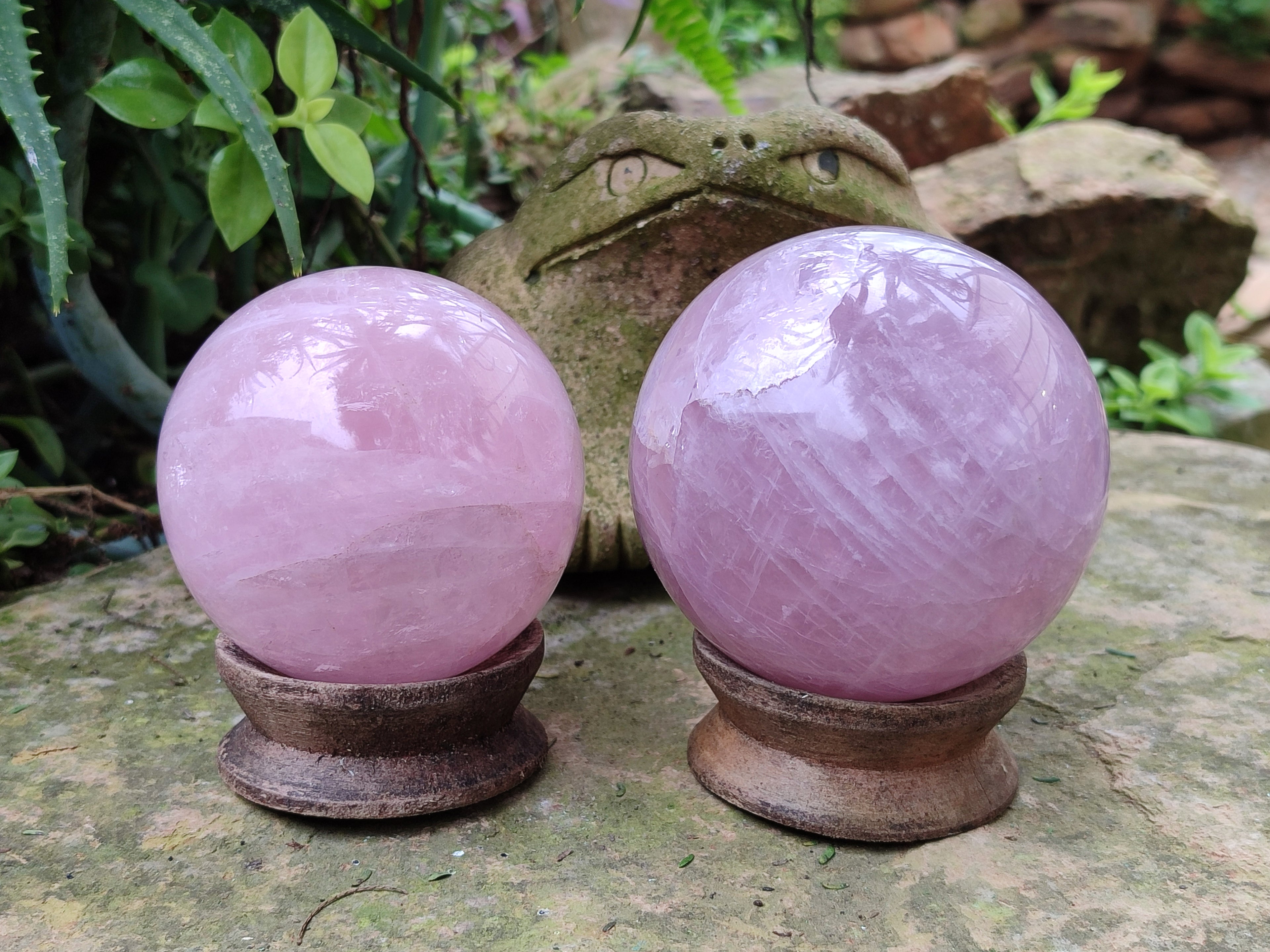 Polished Rose Quartz Spheres x 2 From Ambatondrazaka, Madagascar - Toprock Gemstones and Minerals 
