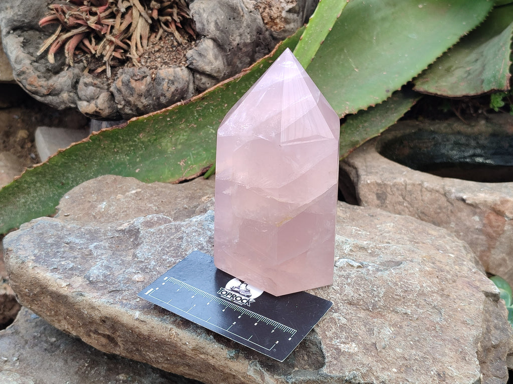 Polished Rose Quartz Points x 3 From Ambatondrazaka, Madagascar - Toprock Gemstones and Minerals 