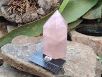 Polished Rose Quartz Points x 3 From Ambatondrazaka, Madagascar