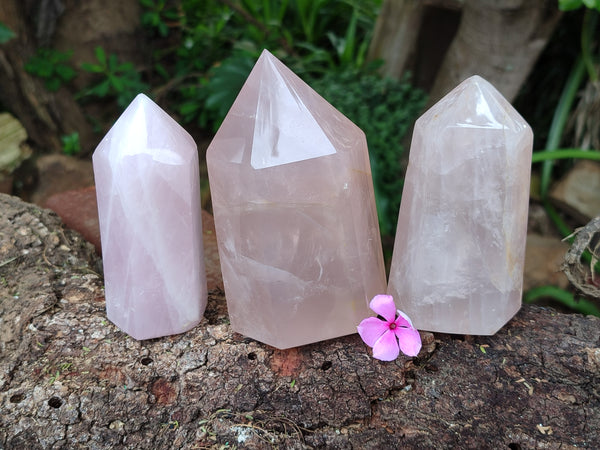 Polished Rose Quartz Points x 3 From Ambatondrazaka, Madagascar
