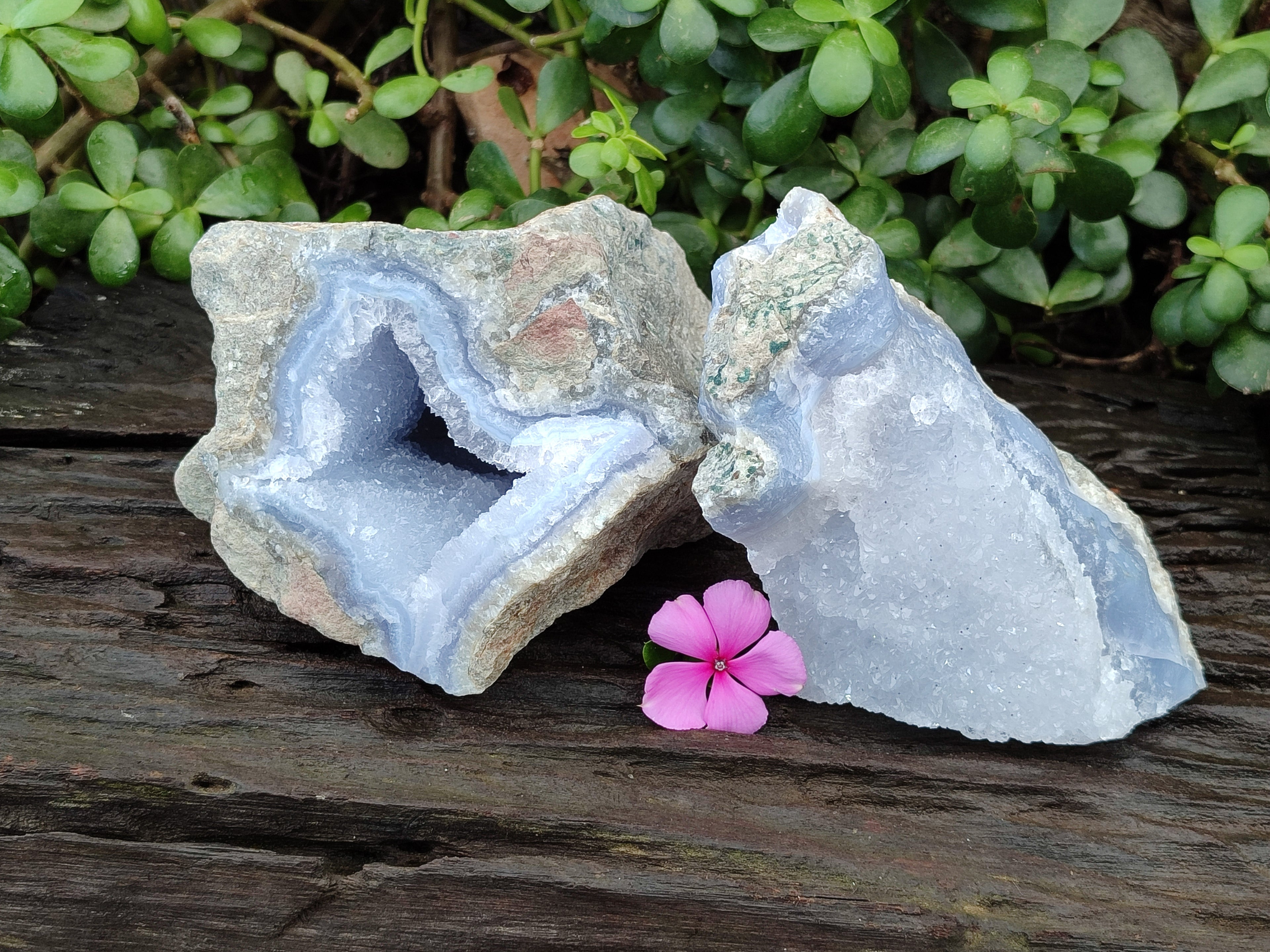 Natural Blue Lace Agate Geode Specimens x 2 From Nsanje, Malawi - Toprock Gemstones and Minerals 