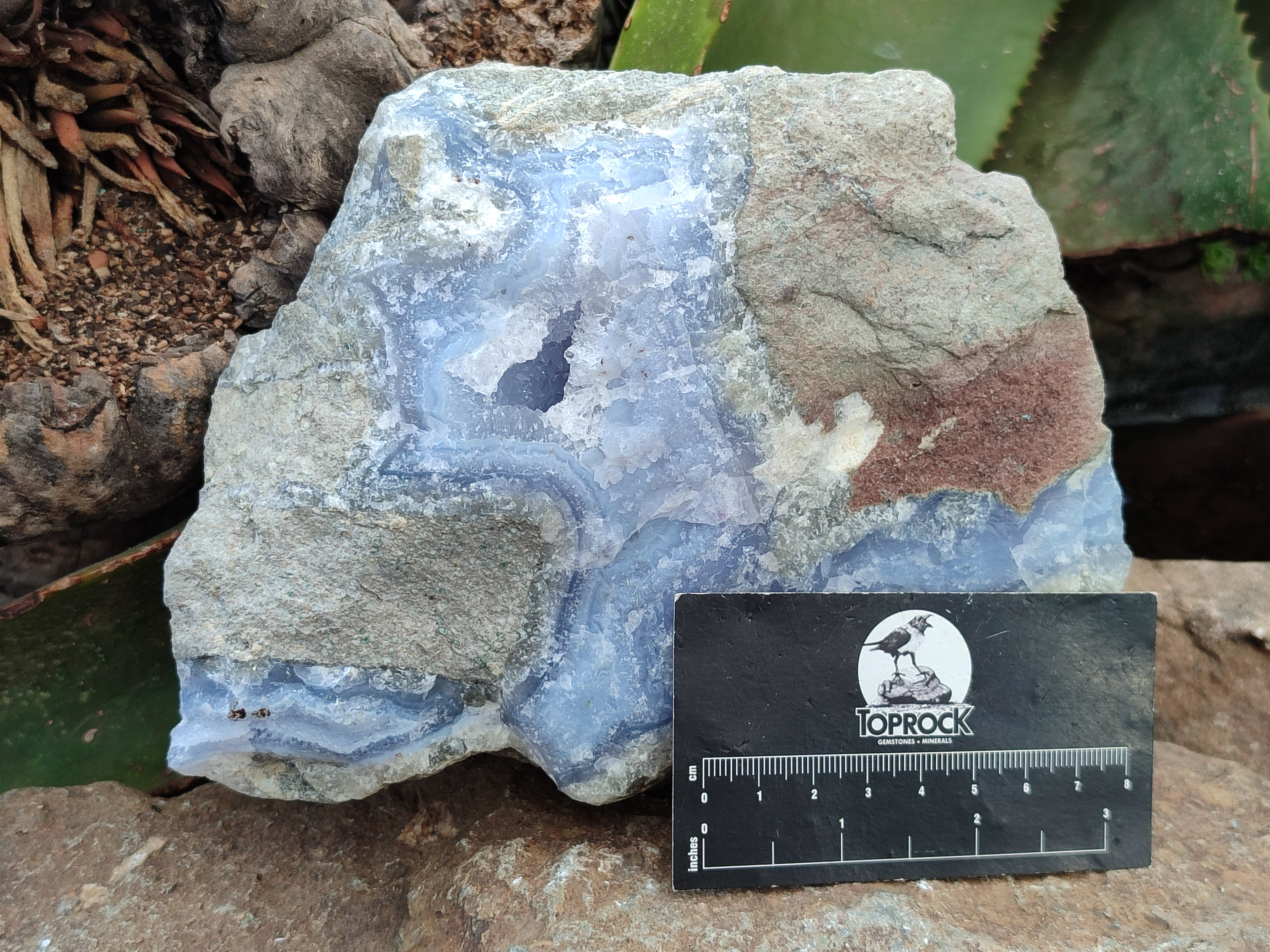 Natural Blue Lace Agate Geode Specimens x 2 From Nsanje, Malawi - Toprock Gemstones and Minerals 
