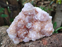 Natural Ametrine Spirit Quartz Clusters x 2 From Boekenhouthoek, South Africa