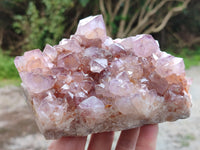 Natural Ametrine Spirit Quartz Clusters x 2 From Boekenhouthoek, South Africa