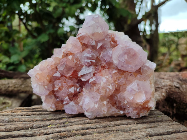 Natural Ametrine Spirit Quartz Clusters x 2 From Boekenhouthoek, South Africa