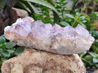 Natural Ametrine Spirit Quartz Clusters x 2 From Boekenhouthoek, South Africa