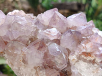 Natural Ametrine Spirit Quartz Clusters x 2 From Boekenhouthoek, South Africa