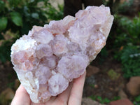 Natural Ametrine Spirit Quartz Clusters x 2 From Boekenhouthoek, South Africa