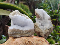 Natural Blue Lace Agate Geode Specimens x 5 From Nsanje, Malawi