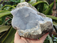 Natural Blue Lace Agate Geode Specimens x 5 From Nsanje, Malawi