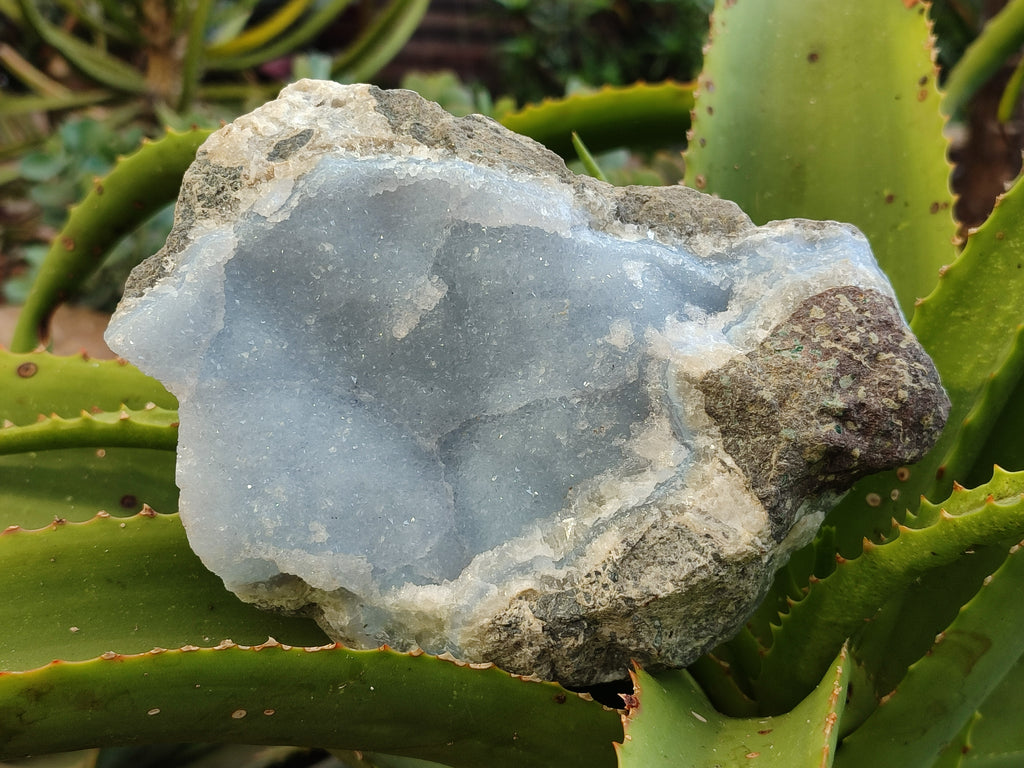 Natural Blue Lace Agate Geode Specimens x 5 From Nsanje, Malawi - Toprock Gemstones and Minerals 