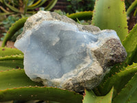 Natural Blue Lace Agate Geode Specimens x 5 From Nsanje, Malawi