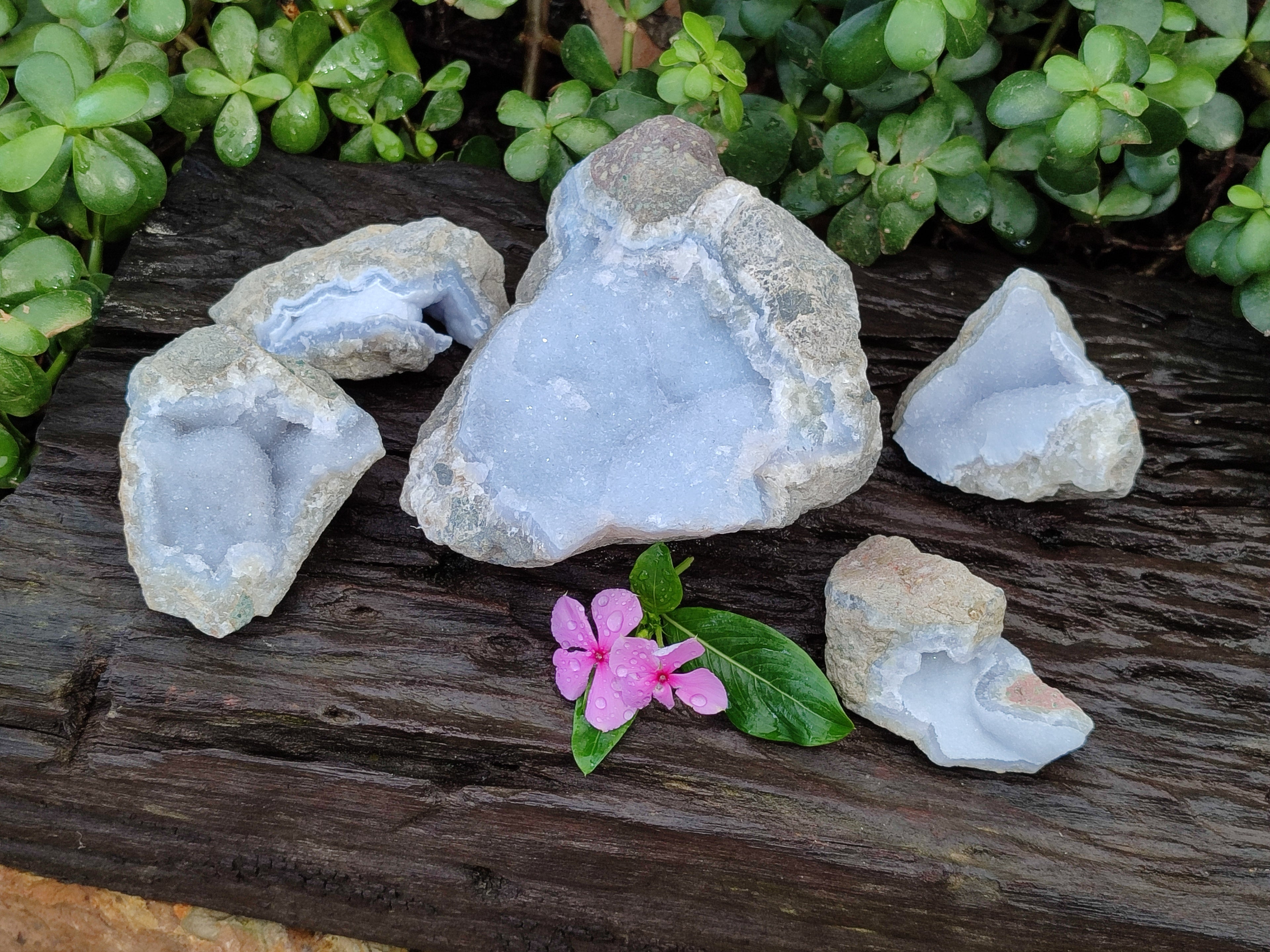 Natural Blue Lace Agate Geode Specimens x 5 From Nsanje, Malawi - Toprock Gemstones and Minerals 