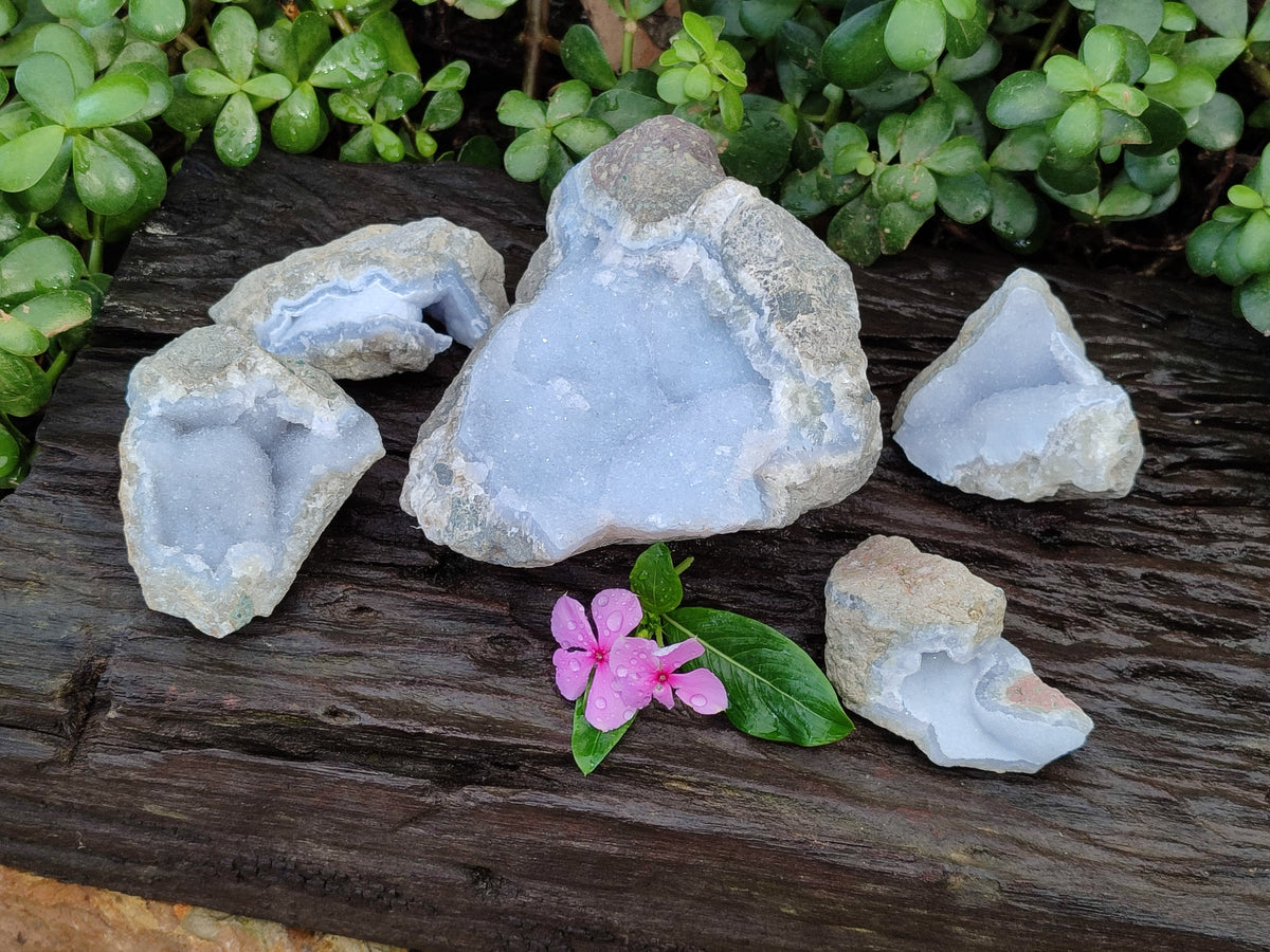 Natural Blue Lace Agate Geode Specimens x 5 From Nsanje, Malawi - Toprock Gemstones and Minerals 