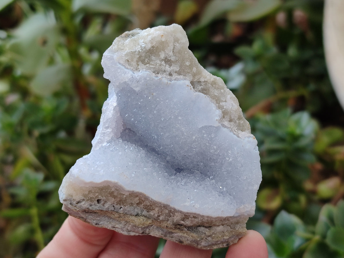 Natural Blue Lace Agate Geode Specimens x 5 From Nsanje, Malawi - Toprock Gemstones and Minerals 