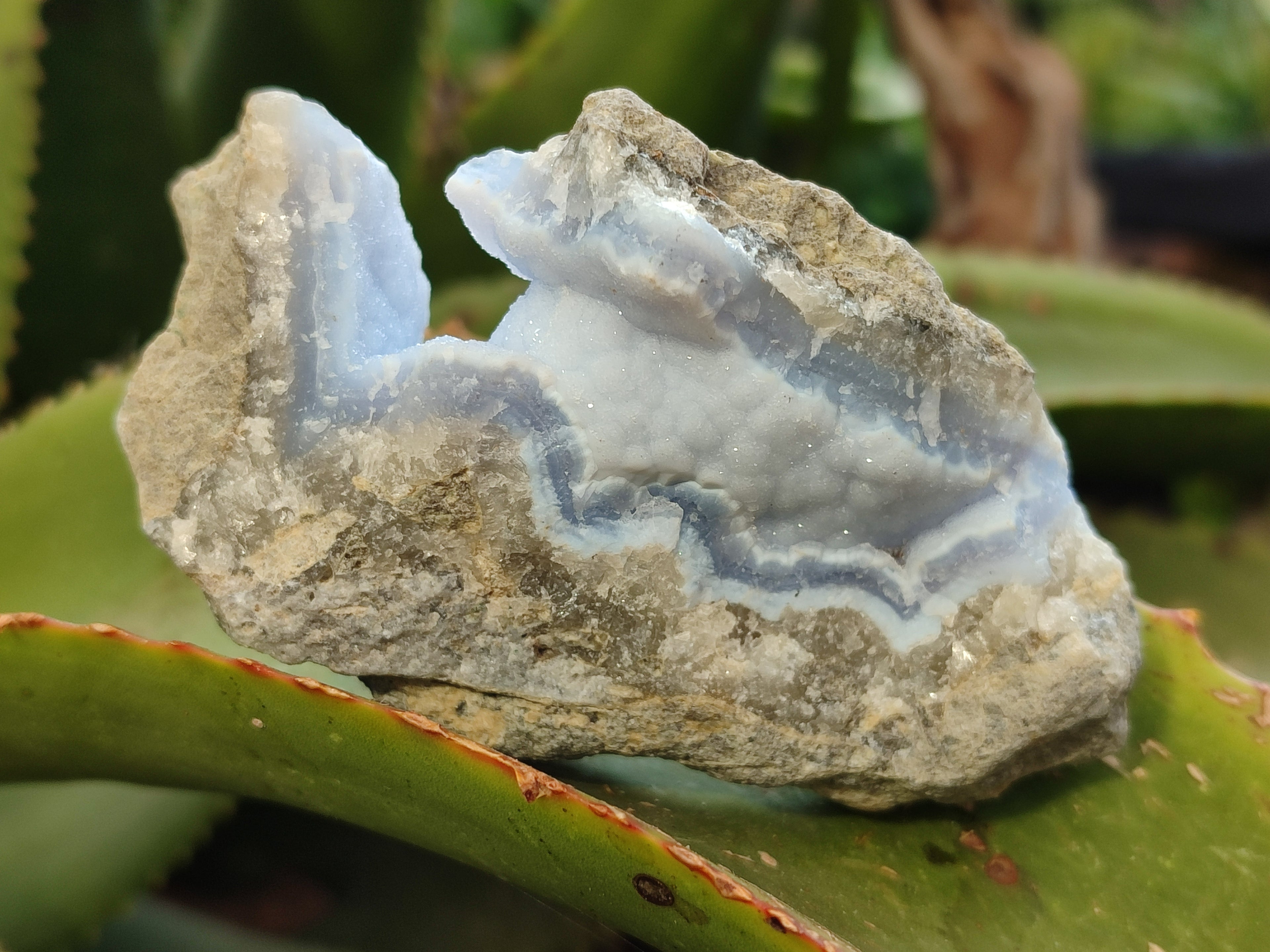 Natural Blue Lace Agate Geode Specimens x 5 From Nsanje, Malawi - Toprock Gemstones and Minerals 