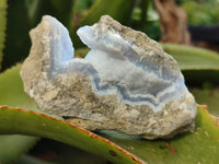 Natural Blue Lace Agate Geode Specimens x 5 From Nsanje, Malawi