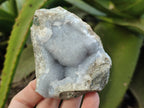 Natural Blue Lace Agate Geode Specimens x 5 From Nsanje, Malawi - Toprock Gemstones and Minerals 
