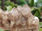 Natural Smokey Phantom Quartz Clusters x 3 From Luena, Congo - Toprock Gemstones and Minerals 