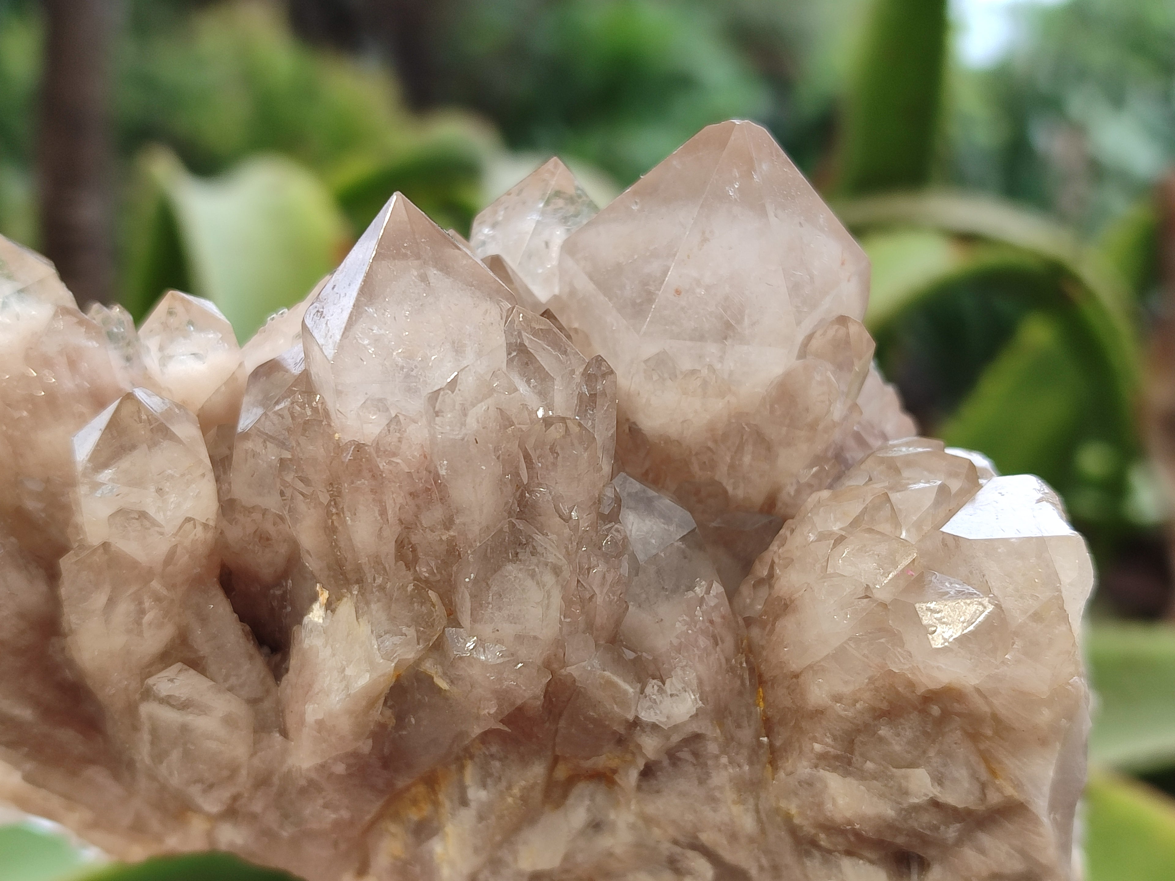 Natural Smokey Phantom Quartz Clusters x 3 From Luena, Congo - Toprock Gemstones and Minerals 