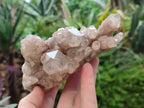 Natural Smokey Phantom Quartz Clusters x 3 From Luena, Congo - Toprock Gemstones and Minerals 