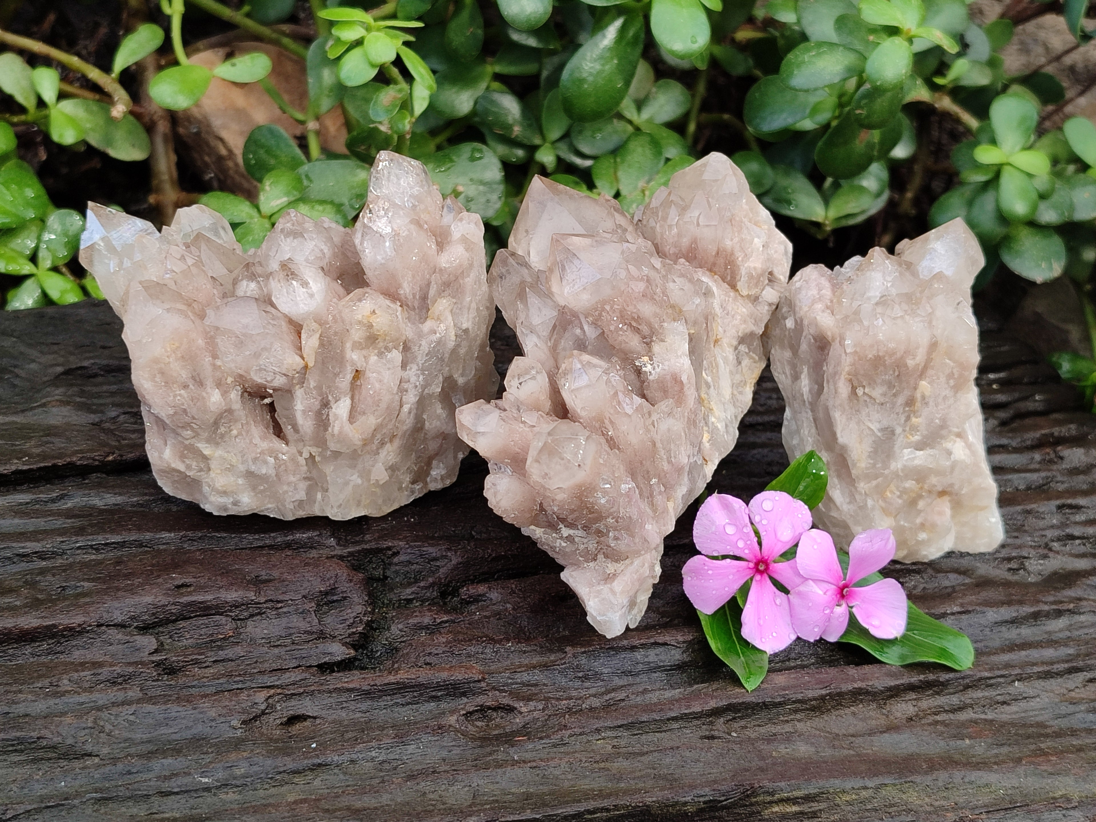 Natural Smokey Phantom Quartz Clusters x 3 From Luena, Congo - Toprock Gemstones and Minerals 