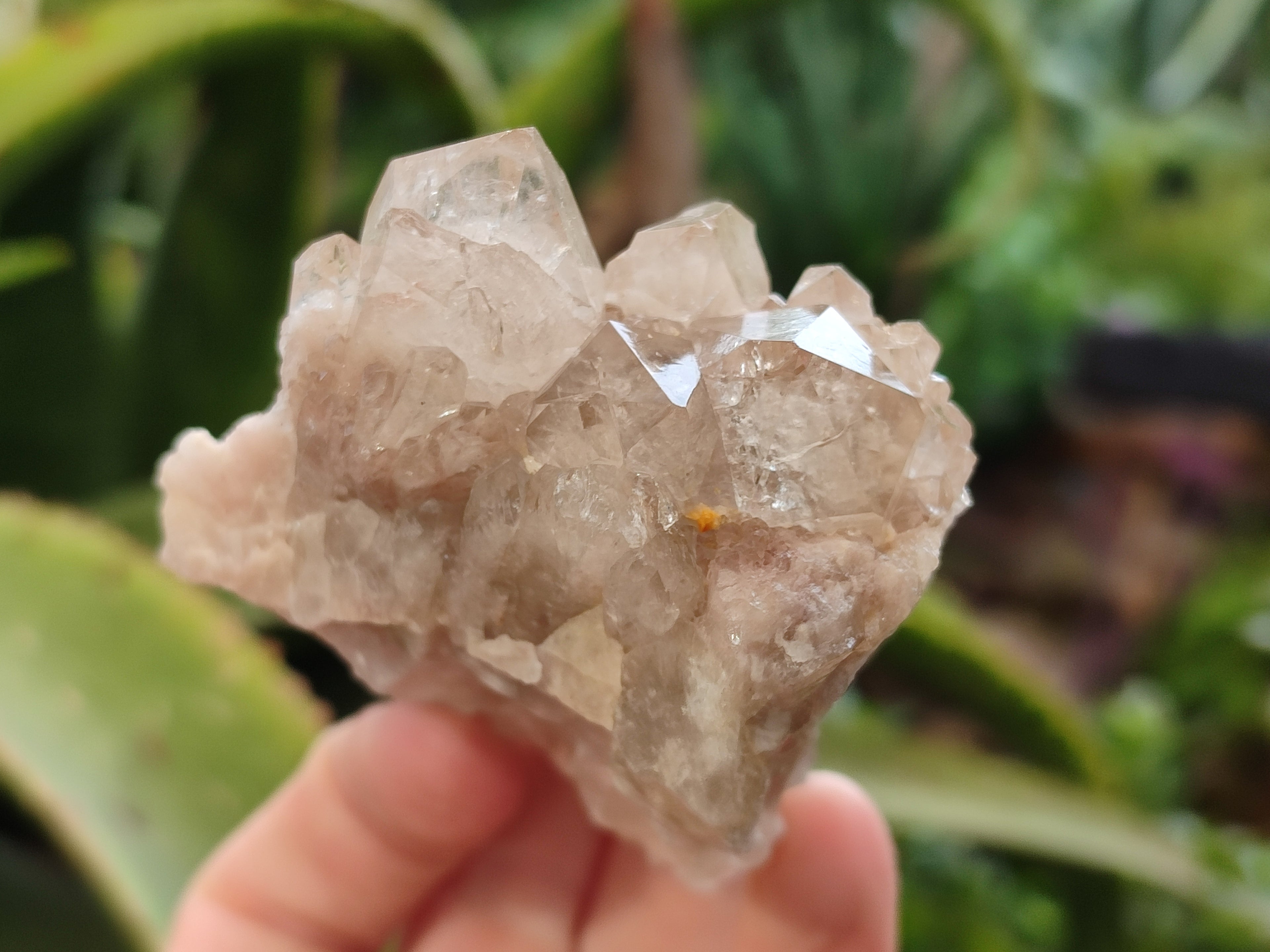 Natural Smokey Phantom Quartz Clusters x 3 From Luena, Congo - Toprock Gemstones and Minerals 