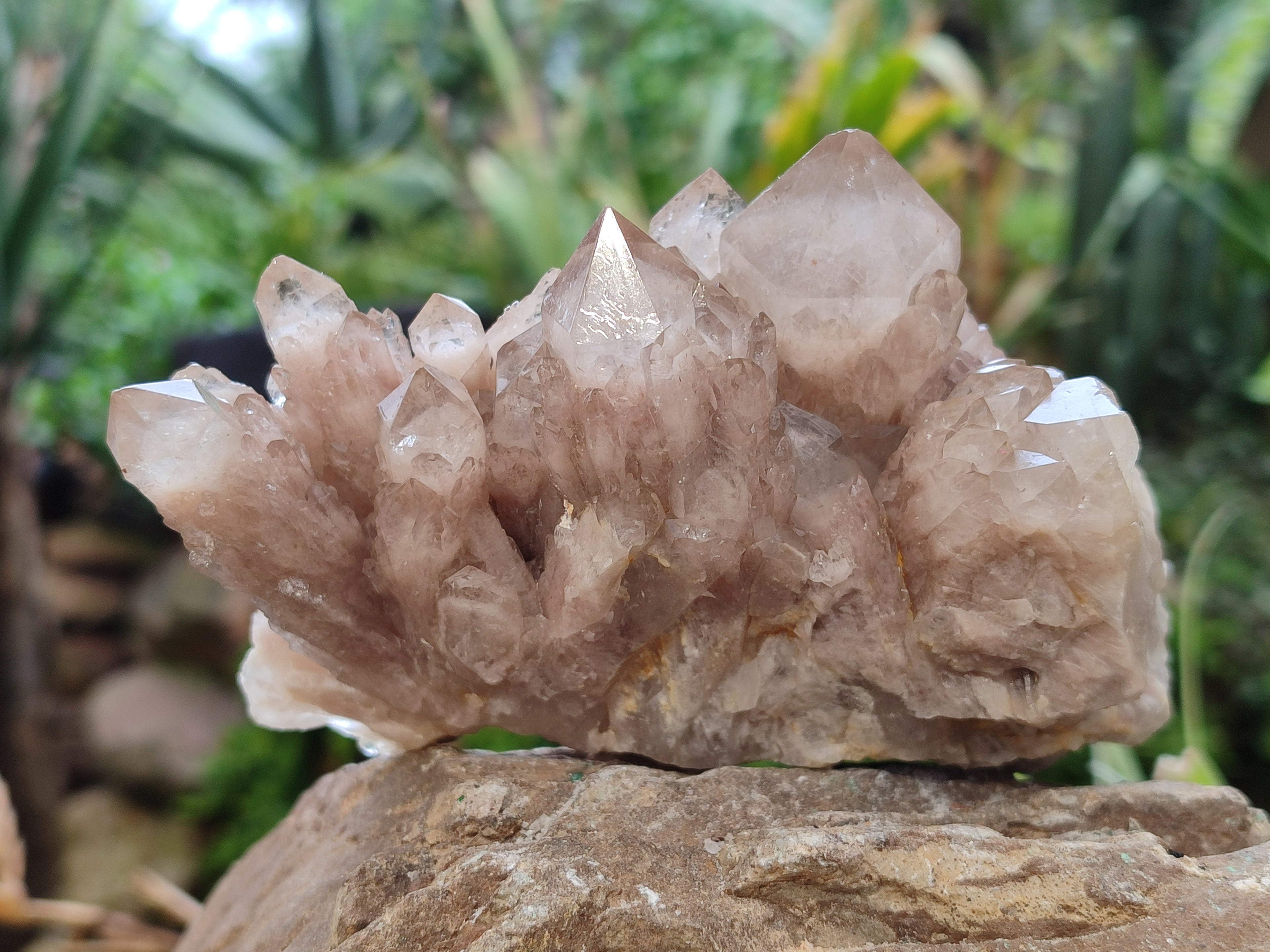 Natural Smokey Phantom Quartz Clusters x 3 From Luena, Congo - Toprock Gemstones and Minerals 