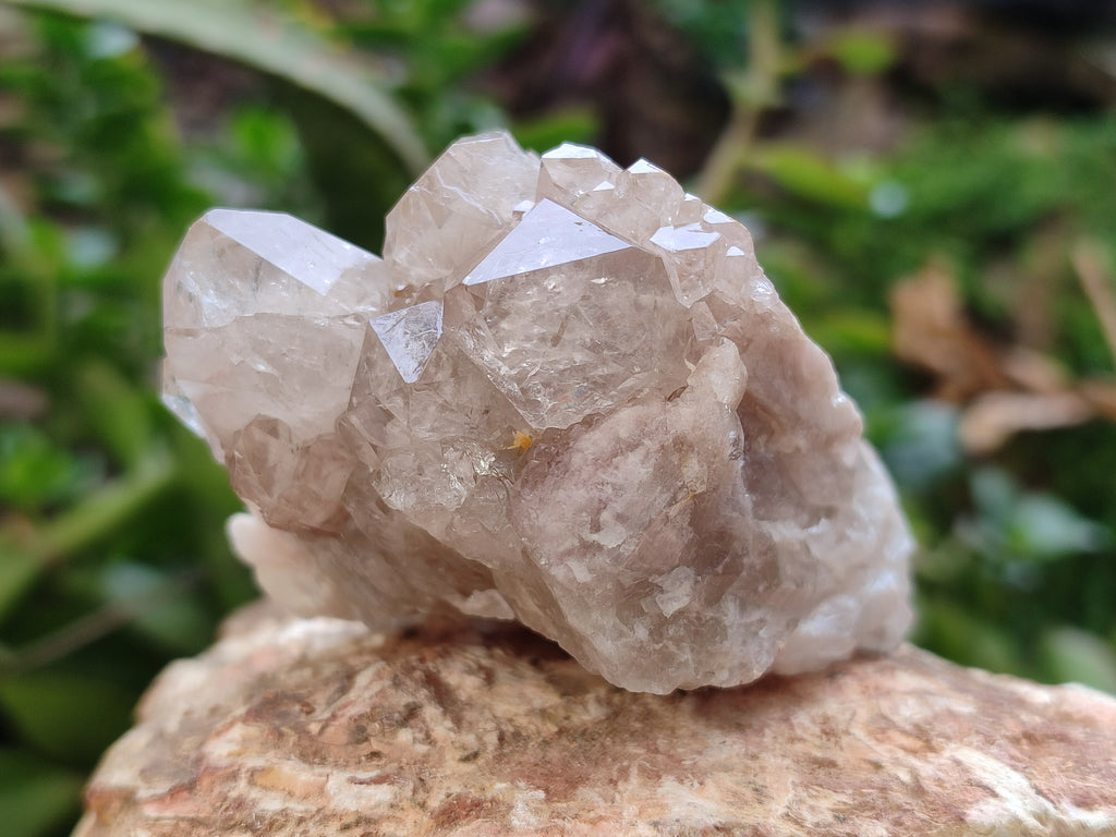 Natural Smokey Phantom Quartz Clusters x 3 From Luena, Congo - Toprock Gemstones and Minerals 