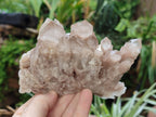 Natural Smokey Phantom Quartz Clusters x 3 From Luena, Congo - Toprock Gemstones and Minerals 