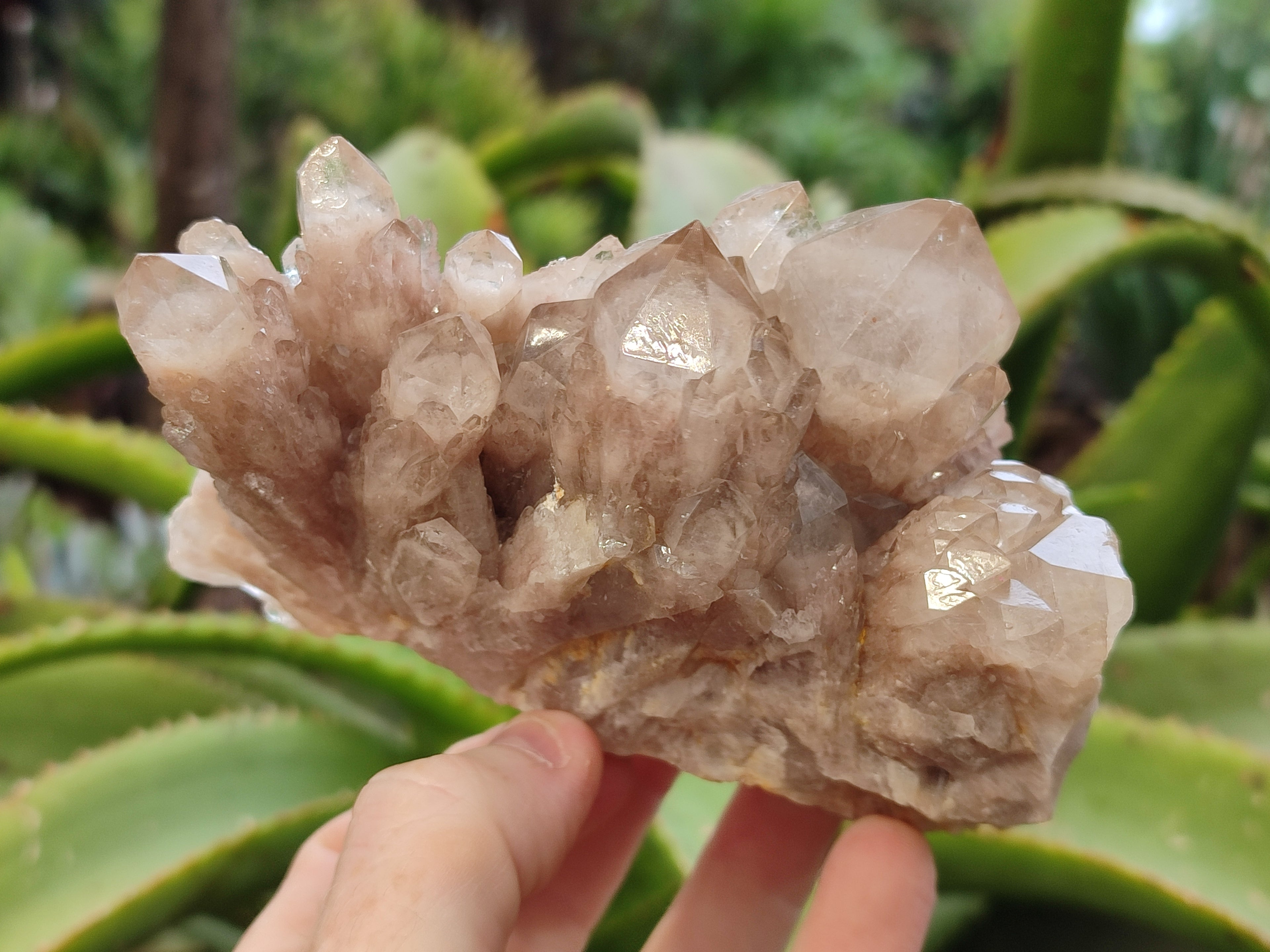 Natural Smokey Phantom Quartz Clusters x 3 From Luena, Congo - Toprock Gemstones and Minerals 