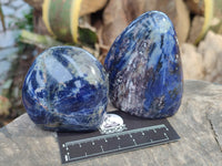 Polished Sodalite Standing Free Forms x 6 From Kunene River, Namibia