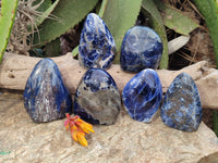 Polished Sodalite Standing Free Forms x 6 From Kunene River, Namibia