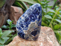Polished Sodalite Standing Free Forms x 6 From Kunene River, Namibia