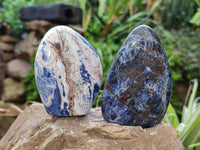 Polished Sodalite Standing Free Forms x 6 From Kunene River, Namibia