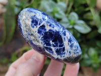 Polished Sodalite Standing Free Forms x 6 From Kunene River, Namibia