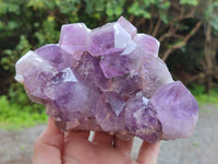 Natural Jacaranda Amethyst Quartz Clusters x 2 From Mumbwa, Zambia
