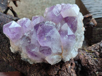 Natural Jacaranda Amethyst Quartz Clusters x 2 From Mumbwa, Zambia