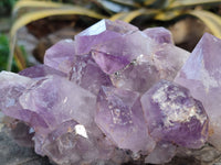 Natural Jacaranda Amethyst Quartz Clusters x 2 From Mumbwa, Zambia