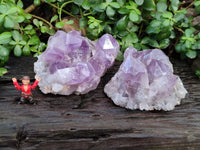 Natural Jacaranda Amethyst Quartz Clusters x 2 From Mumbwa, Zambia