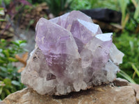 Natural Jacaranda Amethyst Quartz Clusters x 2 From Mumbwa, Zambia
