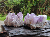 Natural Jacaranda Amethyst Quartz Clusters x 2 From Mumbwa, Zambia