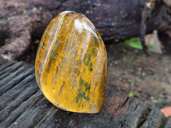 Polished Neolite Standing Free Forms x 6 From Prieska, South Africa