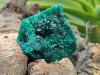 Natural Dioptase Specimens x 6 From Likasi, Congo