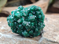 Natural Dioptase Specimens x 6 From Likasi, Congo