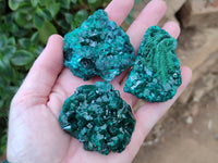 Natural Dioptase Specimens x 6 From Likasi, Congo