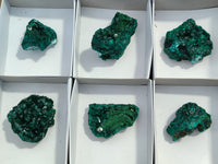Natural Dioptase Specimens x 6 From Likasi, Congo