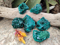 Natural Dioptase Specimens x 6 From Likasi, Congo