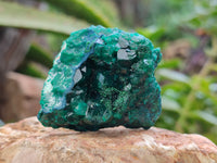 Natural Dioptase Specimens x 6 From Likasi, Congo